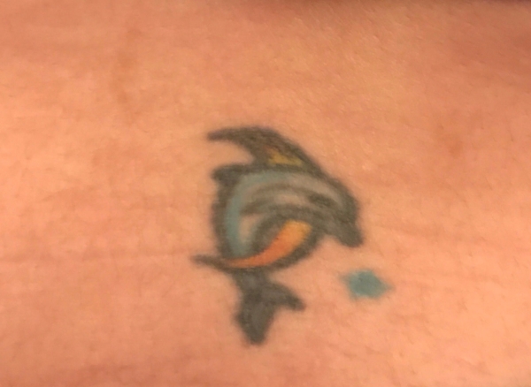 New Mexico Dolphin Tattoo